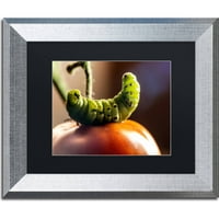 Търговска марка изобразително изкуство гъсеница и домат платно изкуство от Джейсън Шафър, Черен мат, сребърна рамка