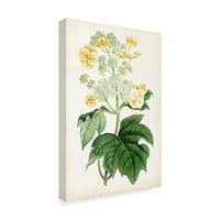 Марка изящно изкуство 'флорална дантела' платно изкуство от Къртис