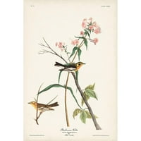 Audubon, John James Black Modern Framed Museum Art Print, озаглавен - Pl. Блекбурински кокошка