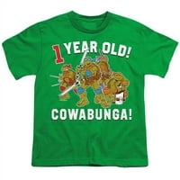 Trevco Nick969-Y-Teenage Mutant Ninja Turtles & Cowabunga рожден ден младеж от късо ръкав 18- тениска, Kelly Green- Medium