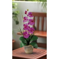 Почти Естествен Едностъблен Фаленопсис Орхидея Копринено Цвете