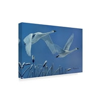 Изобразително изкуство 'лебеди' платно изкуство от Ръсти Френтнър