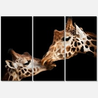 Близък план на два жирафа Целувки фотография платно Арт Принт