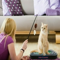 Домашни любимци Вирджиния Кавалиърс котка драскач играчка с котешка плюш и перо котка играчка 5-в-Кити Играчка