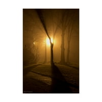 Изобразително изкуство светлина през мъглата изкуство от Иън Торнкуист