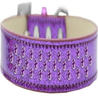 Mirage Pet Nylon Jeweled Dog Collar, Purple, XL