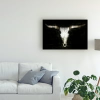 Изобразително изкуство 'кравешки Череп' платно изкуство от Фбуршет