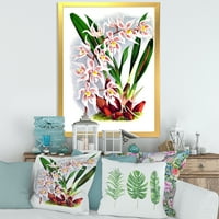 Дизайнарт 'Бяла Реколта Орхидея' традиционна рамка Арт Принт