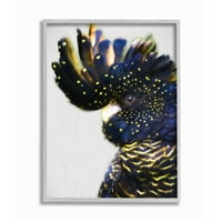 Ступел индустрии папагал Портрет синьо жълто Пунктирана перо птица рамка стена изкуство дизайн от градски път, 11 14
