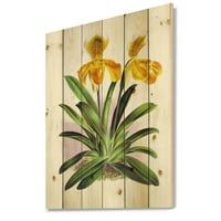 Дизайнарт' жълта Реколта Орхидея ' традиционен принт върху естествена борова дървесина