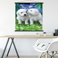 Кийт Кимбърлин-бял голдън ретривър кученца плакат стена с дървена магнитна рамка, 22.375 34