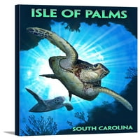 Остров на дланите, Южна Каролина - гмуркане на морски костенурки - Плакат за фенер