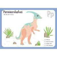 Панел за тъкани на флаш карта Parasaurolophus